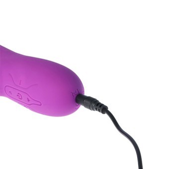 Vibro Rabbit et Point G Violet 20cm 3,5