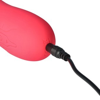 Vibro Rabbit et Point-G Rose 20cm 3,5